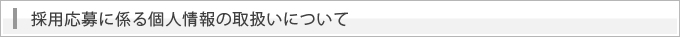 システム開発