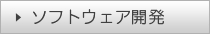 ソフトウェア開発